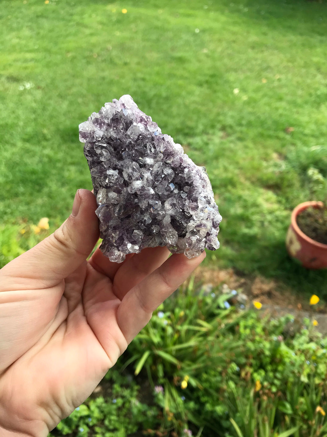 Amethyst Clusters