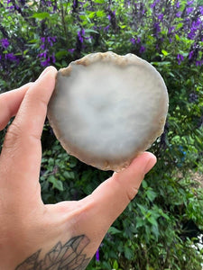 Natural Agate Slice