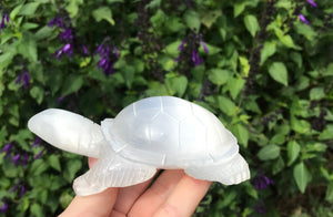 Selenite turtle