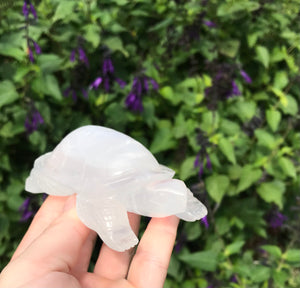 Selenite turtle