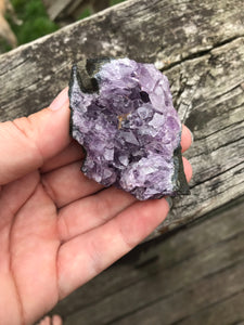 $12 Amethyst Clusters