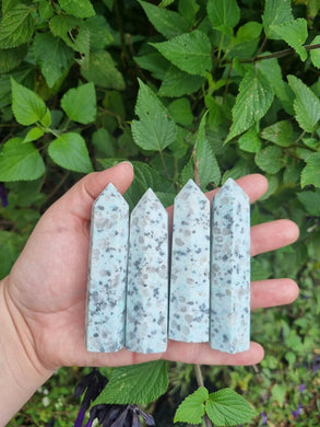 Unpolished Sesame Jasper Points