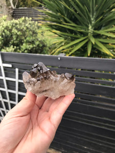 Smoky Quartz Cluster