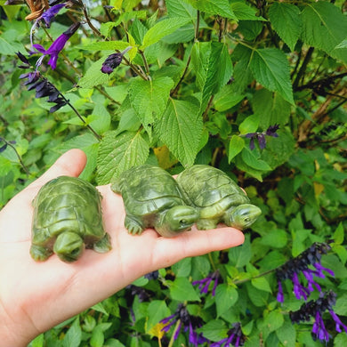 Green Jade Turtle Carving