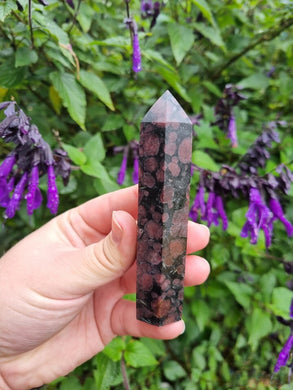 Garnet In Astrophyllite Point