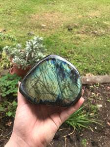 Labradorite Freeform $100