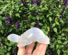 Load image into Gallery viewer, Selenite turtle