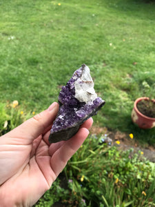 Amethyst Clusters