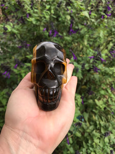 Tigers eye Skull