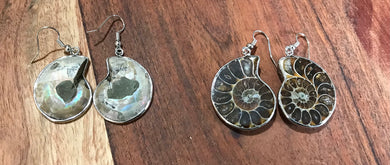 Ammonite Fossil earrings