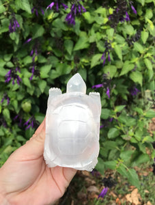 Selenite turtle