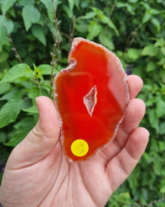 Orange Agate Slice