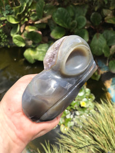 Agate and amethyst Geode Bird skull