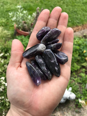 Amethyst Shards