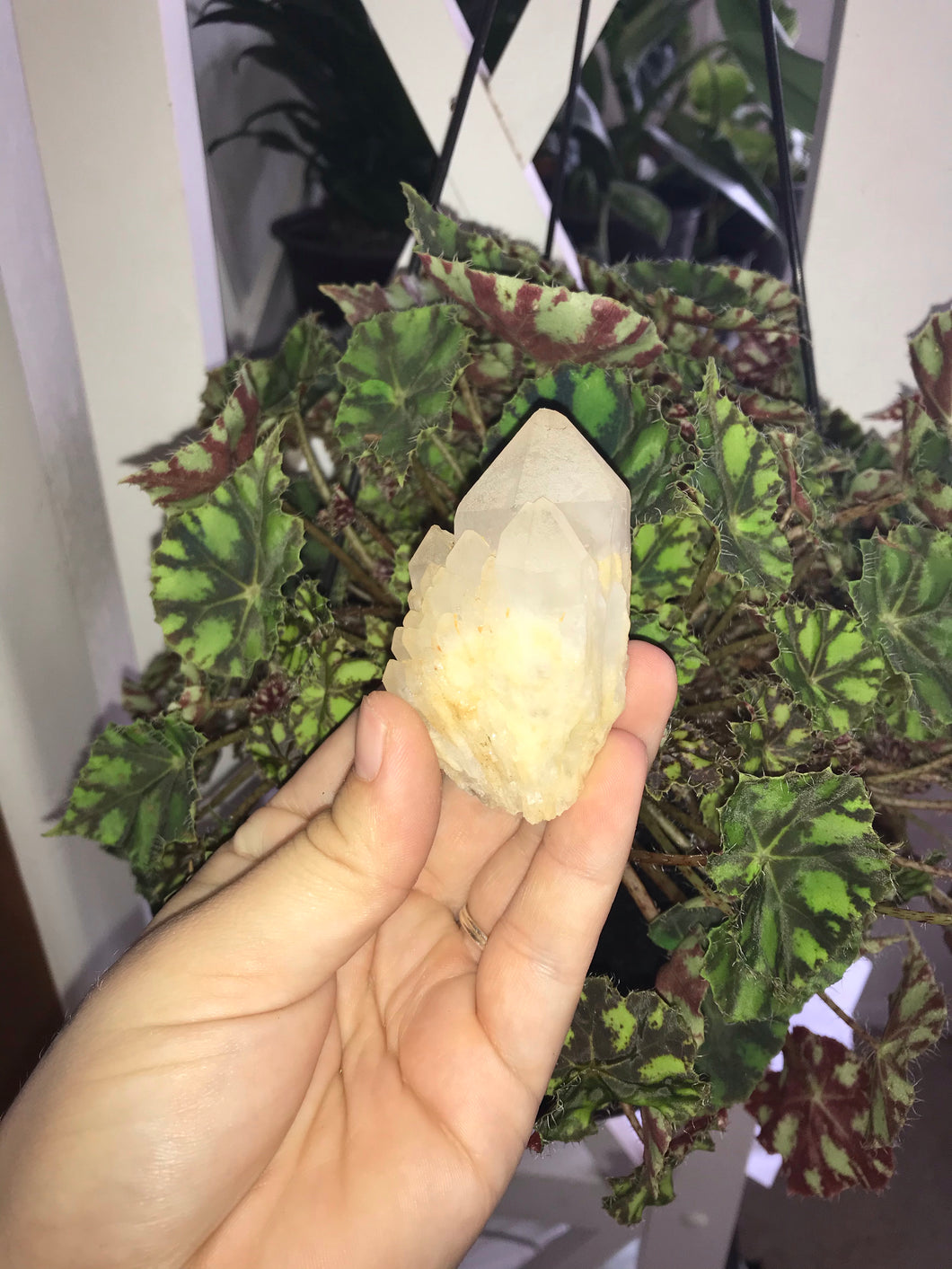 Pineapple Quartz Cluster - Small #2