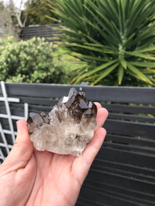 Smoky Quartz Cluster