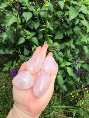 Rose Quartz Palm Stone