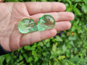 Glass Skulls