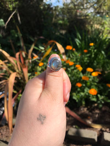 Labradorite Sterling Silver Ring - Size 6