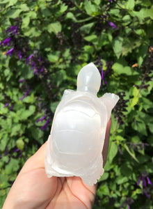 Selenite turtle