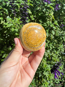 Ocean Jasper Palm Stone