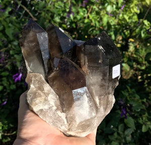 Smokey Quartz Cluster