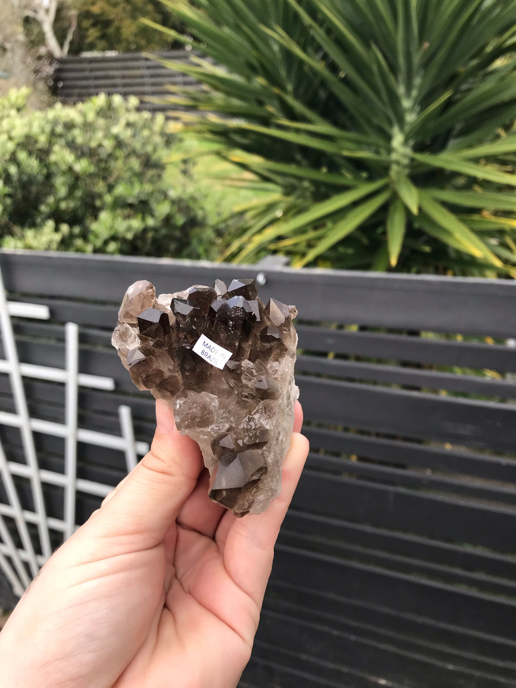 Smoky Quartz Cluster