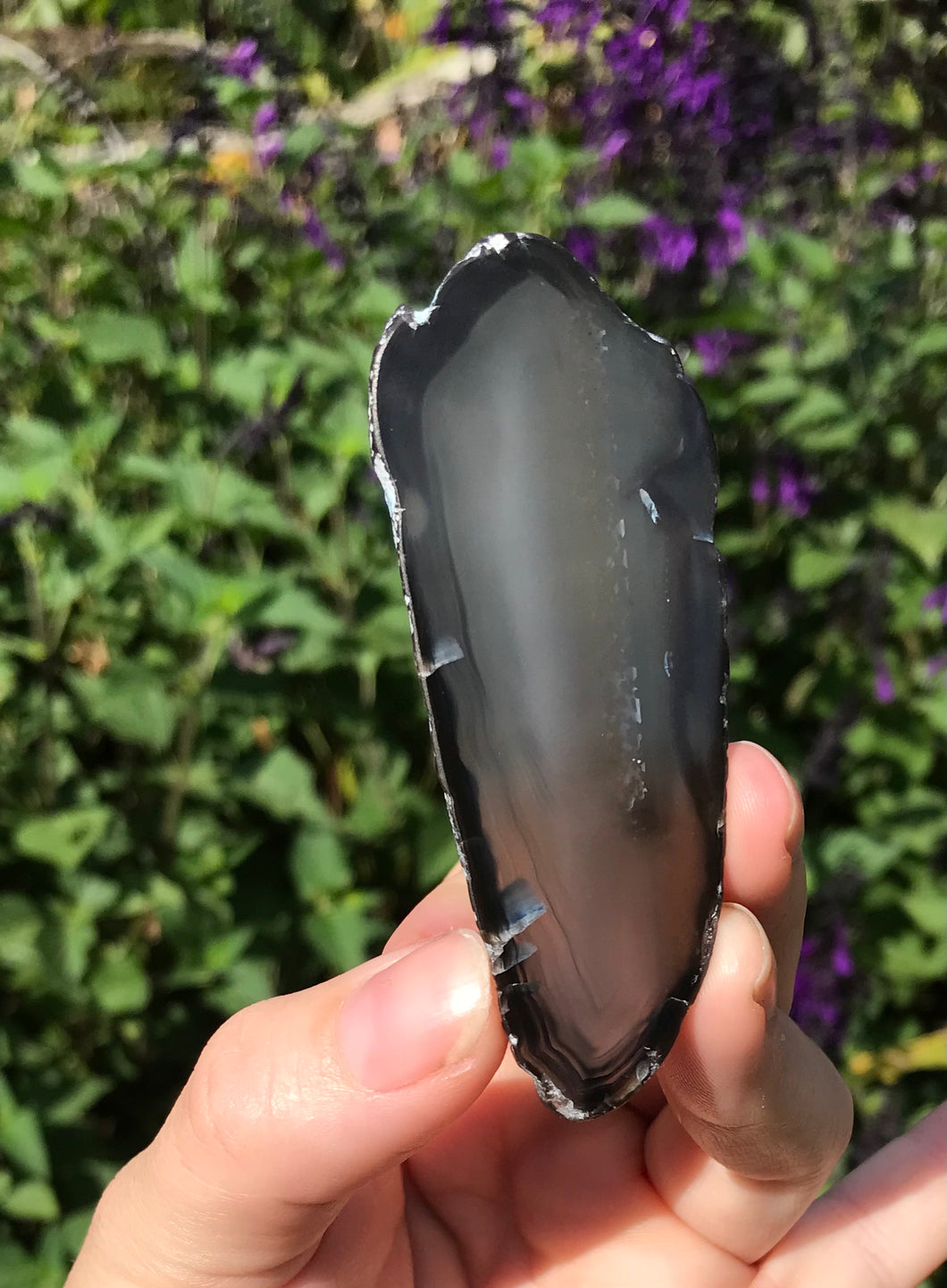 Black Agate Slice $5