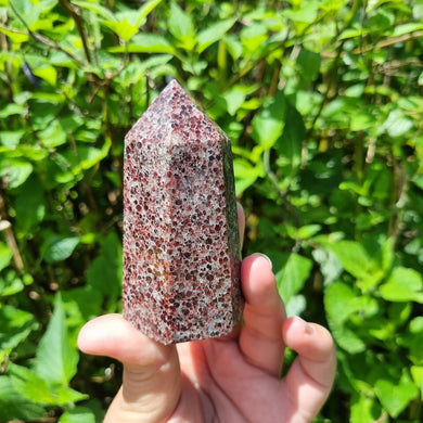 Red Garnet Point