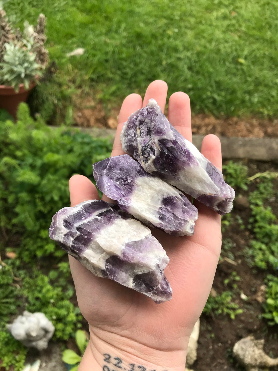 Raw Chevron Amethyst Shards - Large