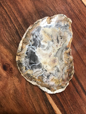 Petrified Wood Slab $15