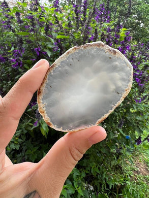 Natural Agate Slice